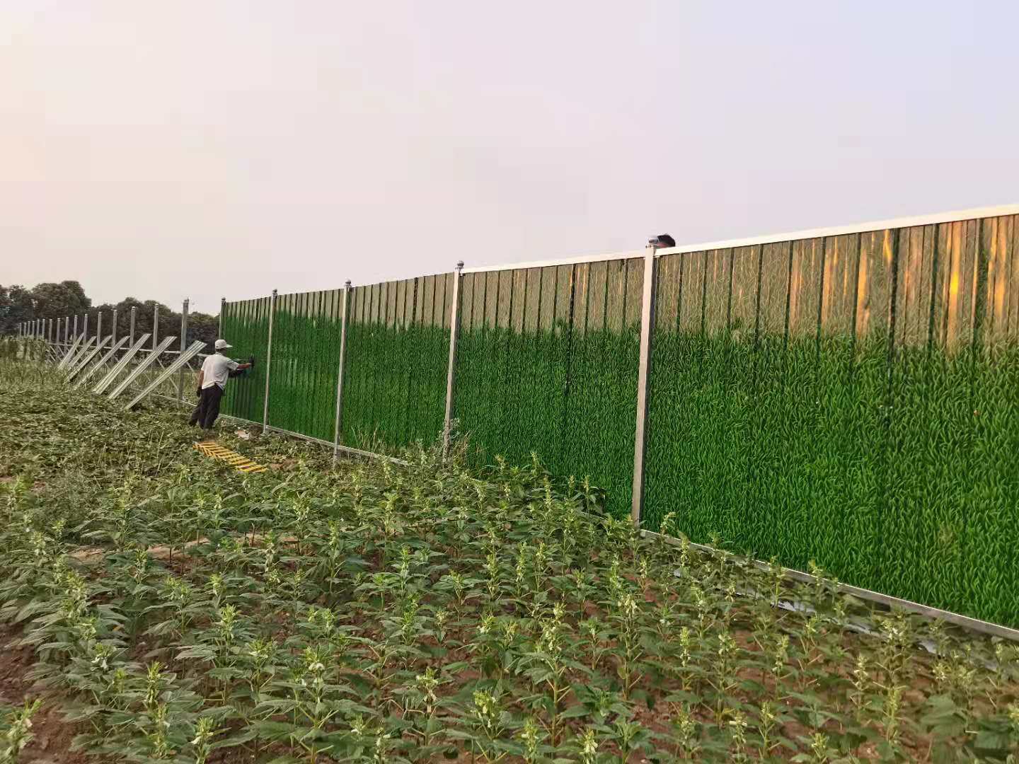 洛阳市伊滨区伊东渠项目装置彩钢围挡-amjs澳金沙门线路首页实业洛阳围挡厂家